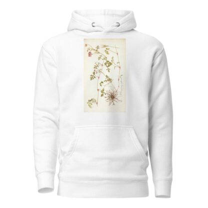 Pelargonium multicaule by Nikolaus Joseph Freiherr von Jacquin Hoodie