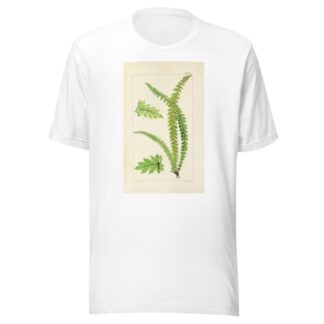 A century of ferns Pl.17 by William Jackson Hooker T-Shirt