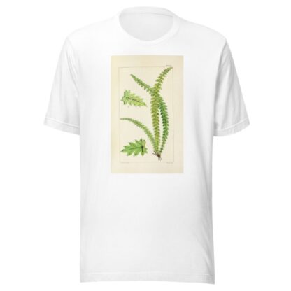 A century of ferns Pl.17 by William Jackson Hooker T-Shirt