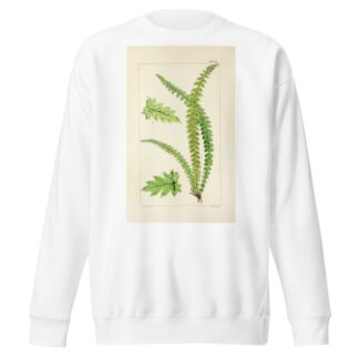 A century of ferns Pl.17 by William Jackson Hooker Sweatshirt