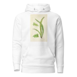 A century of ferns Pl.17 by William Jackson Hooker Hoodie