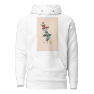 Botanique Pl.11 by Alexander von Humboldt Hoodie
