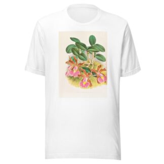 Cattleya schilleriana by Jean Jules Linden T-Shirt