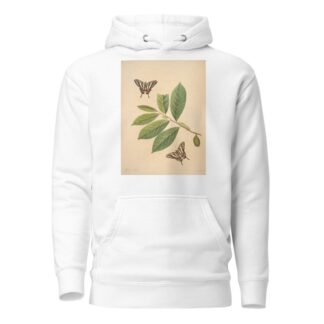 The natural history of the rarer lepidopterous insects of Georgia Pl.004 by James Edward Smith Hoodie