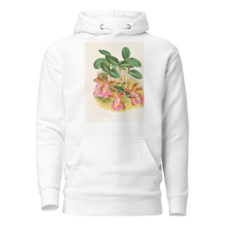 Cattleya schilleriana by Jean Jules Linden Hoodie