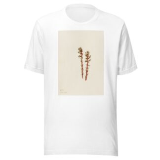 Red Pinesap by Mary Vaux Walcott T-Shirt