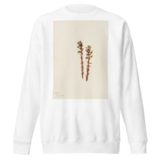 Red Pinesap by Mary Vaux Walcott Sweatshirt