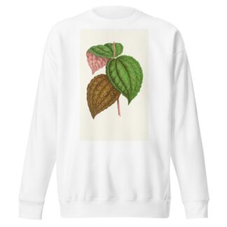 Bertolonia Guttata by Edward Joseph Lowe Sweatshirt