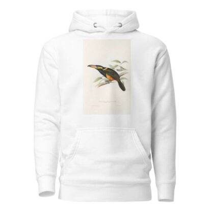 A monograph of the Ramphastidae, or family of toucans Pl.23 by John Gould Hoodie