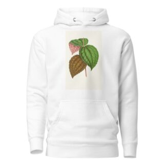 Bertolonia Guttata by Edward Joseph Lowe Hoodie