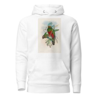 A monograph of the Trogonidae or family of trogons Pl.14 by John Gould Hoodie