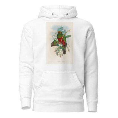 A monograph of the Trogonidae or family of trogons Pl.14 by John Gould Hoodie