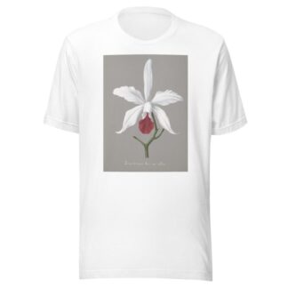 Collection d’orchidées Pl.13 by Anonymous T-Shirt