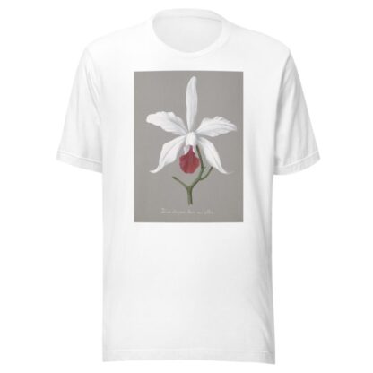 Collection d’orchidées Pl.13 by Anonymous T-Shirt