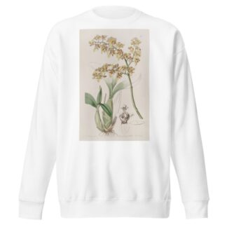 Trowel-lipped Oncidium by Sydenham Edwards Sweatshirt