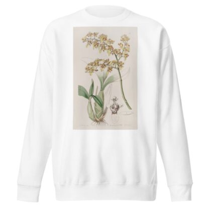 Trowel-lipped Oncidium by Sydenham Edwards Sweatshirt