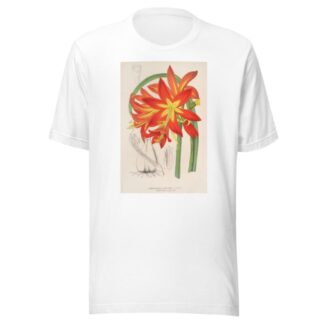 Habranthus fulgens by Charles Antoine Lemaire T-Shirt