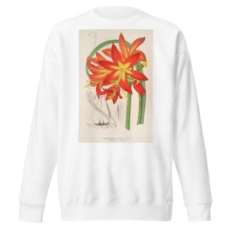 Habranthus fulgens by Charles Antoine Lemaire Sweatshirt