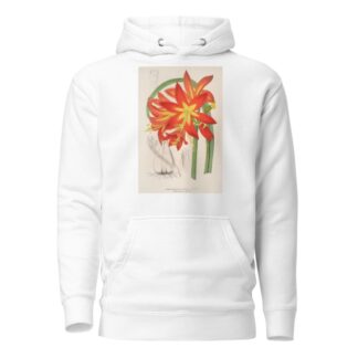 Habranthus fulgens by Charles Antoine Lemaire Hoodie