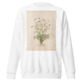 Piante varie Pl.36 by Giovanna Garzoni Sweatshirt