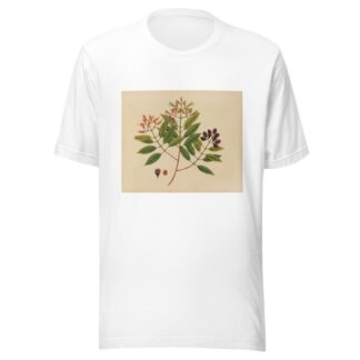 Album of watercolors of Asian fruits and flowers Pl.08 by Anonymous T-Shirt