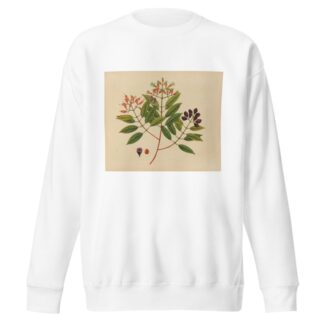 Album of watercolors of Asian fruits and flowers Pl.08 by Anonymous Sweatshirt