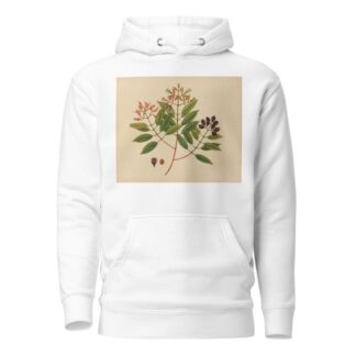 Album of watercolors of Asian fruits and flowers Pl.08 by Anonymous Hoodie