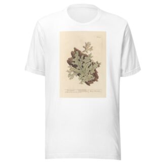 Tree lungwort by Elizabeth Blackwell T-Shirt