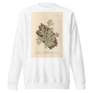 Tree lungwort by Elizabeth Blackwell Sweatshirt