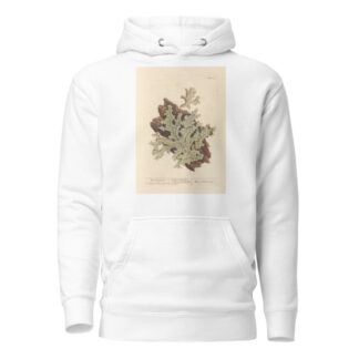 Tree lungwort by Elizabeth Blackwell Hoodie
