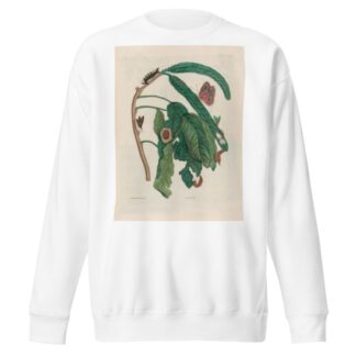 Zoete Boonen-Boom by Maria Sibylla Merian Sweatshirt