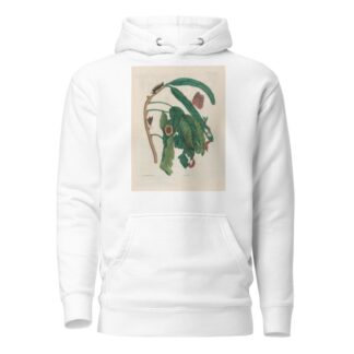 Zoete Boonen-Boom by Maria Sibylla Merian Hoodie