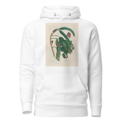 Zoete Boonen-Boom by Maria Sibylla Merian Hoodie