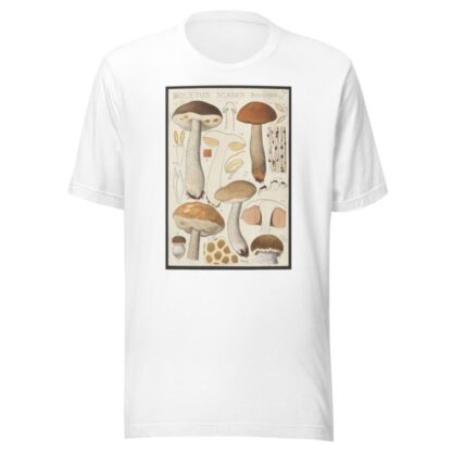 Boletus scaber Bulliard. by Hans Walty T-Shirt