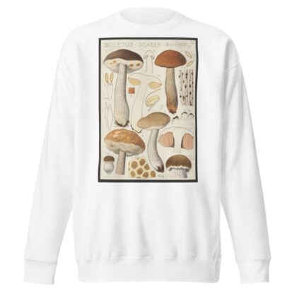 Boletus scaber Bulliard. by Hans Walty Sweatshirt