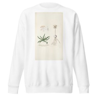 Anthericum pusillum by Nikolaus Joseph Freiherr von Jacquin Sweatshirt