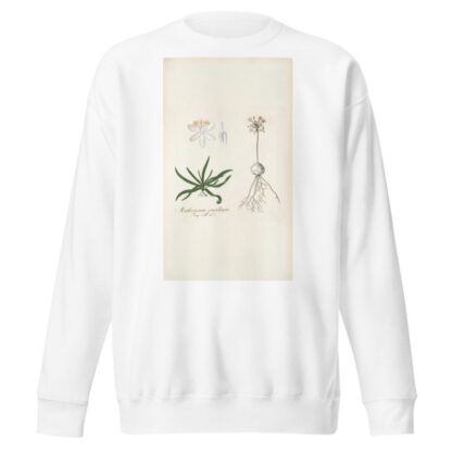 Anthericum pusillum by Nikolaus Joseph Freiherr von Jacquin Sweatshirt