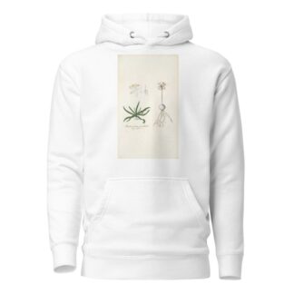 Anthericum pusillum by Nikolaus Joseph Freiherr von Jacquin Hoodie