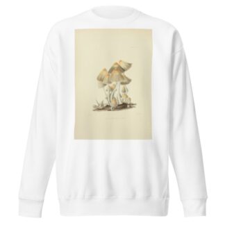 Illustrations of British mycology Pl.55 by Anna Maria Hussey Sweatshirt