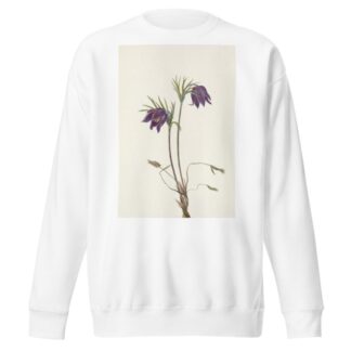 American Pasqueflower by Mary Vaux Walcott Sweatshirt
