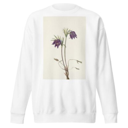 American Pasqueflower by Mary Vaux Walcott Sweatshirt