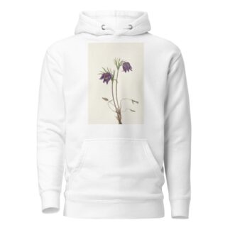 American Pasqueflower by Mary Vaux Walcott Hoodie