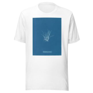 Ectocarpus granulosus by Anna Atkins T-Shirt