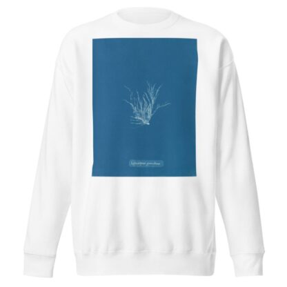 Ectocarpus granulosus by Anna Atkins Sweatshirt