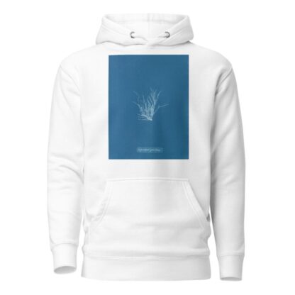 Ectocarpus granulosus by Anna Atkins Hoodie