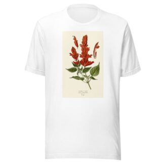 Scarlet Sage by Edward Step T-Shirt