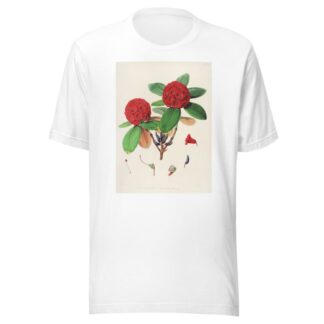 The Rhododendrons of Sikkim-Himalaya Pl.25 by Walter Hood Fitch T-Shirt