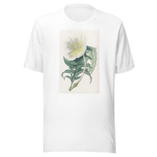 White Upright Evening Primrose by Sydenham Edwards T-Shirt