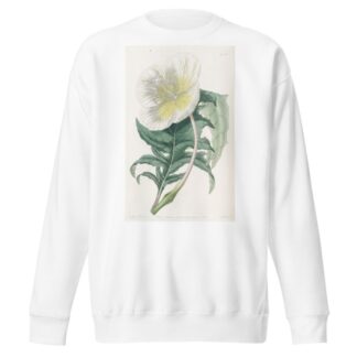 White Upright Evening Primrose by Sydenham Edwards Sweatshirt