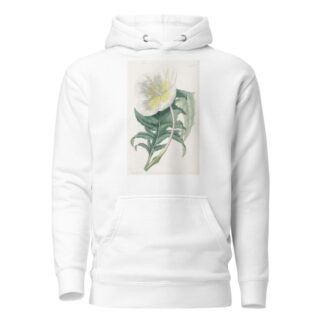 White Upright Evening Primrose by Sydenham Edwards Hoodie